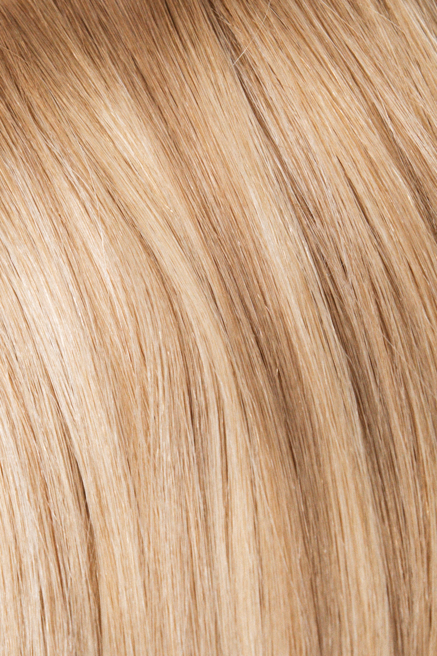 Single Hybrid Wefts